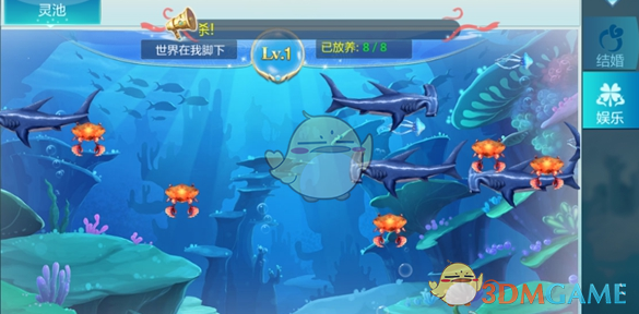 张泽禹回复